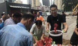 北京朝阳吃瓜,瓜界风云录，美食地图大揭秘